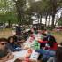 http://matematik.sakarya.edu.tr/tr/icerik/16360/83667/piknik-2018-2019